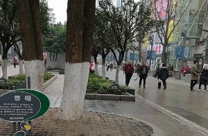 明后天重庆阴雨天气来袭  气温有所下滑