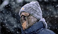 互联网行业整体遇冷 小米放慢步伐VS乐视的急刹车