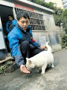 曾经流浪的“小白” 变身公交路队明星