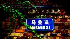 周末去哪儿 赶快提前打望马桑溪古镇