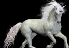 重庆将培育“独角兽”企业 最高可给予1000万财政支持