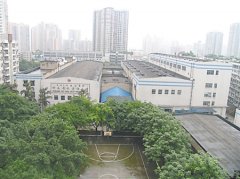 环保搬迁主城腾出42地块 南坪将现“地块新星”？