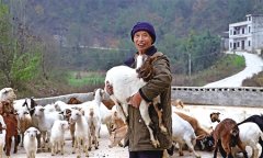 公路修到家门口  他养羊脱贫 还想当老板