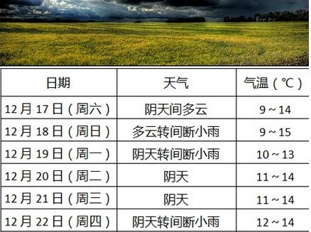 QQ截图20161216185944