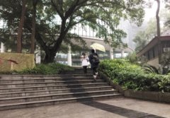 今明两天阳光回归 气温升至17℃