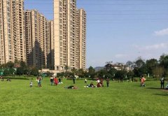 重庆暖阳晒周末 昼夜温差大别急着减衣