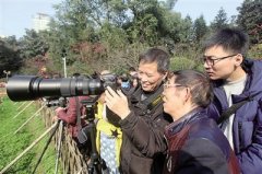 重庆的春天美如画 摄影爱好者已忙开了