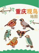 《重庆观鸟地图》发布，看有哪些好去处