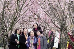 重庆周末最高温飙至21℃