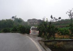 快递员马不停蹄送包裹 驾车冲进柑橘园