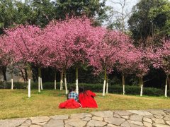 重庆今明猛跌10摄氏度 你的厚衣服别急着收！