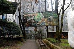 涪陵一动物园 见到有人来非洲狮惊恐得像孩子