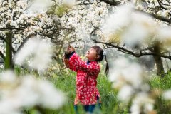 未来三天重庆最高温将上升至18℃