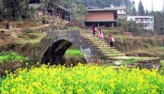 这个村子有这么多百岁老人，原来是因为这种东西！