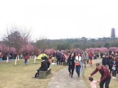 温暖阳光暂告段落 未来三天最高20度