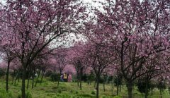 春季皮肤过敏怎么破？ 八招美容贴士教你应对