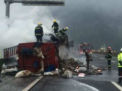 渝蓉高速：凌晨一货车因爆胎自燃 整车货物燃烧过半