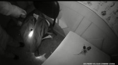 三更半夜 女子发现家里来了一个陌生的“裸男”