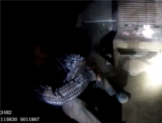 男子喝醉进羊圈撒野 惊呆羊主人