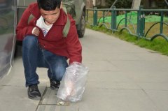 重庆一男子甘做“铲屎官”盼走“狗屎运”