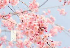 重庆明起有雨一直下