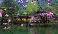 酉阳桃花源明天正式开园 门票价不变仍是128元