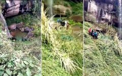 万州白羊镇3名小孩意外摔下悬崖身亡