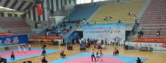 2017年全市青少年跆拳道锦标赛在荣昌结束