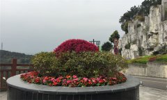 注意！明后天主城迎首个祭扫高峰