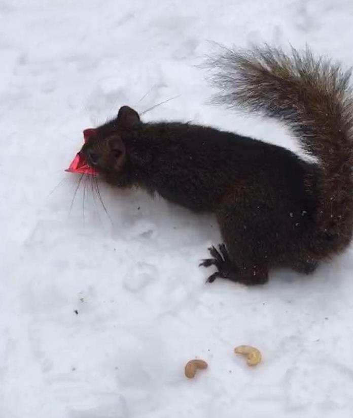 微信图片_20170325180019