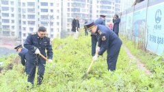 征地成了“菜园子”？如此种菜要不得！