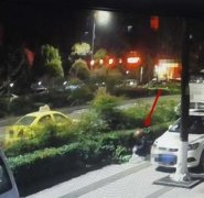 男子偷了一盆月季花 却不知道里面藏了秘密