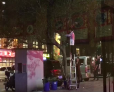 大树遮挡招牌 店主竟然“放大招”