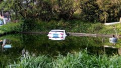 又遇女司机 轿车飚进池塘里