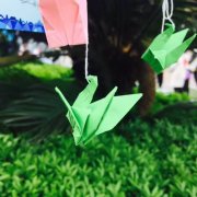 重庆市遗体器官捐献者纪念活动今天隆重举行