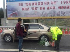 高速路停车偷采蒜苗被拍照 这司机的麻烦不止这点