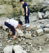 江边挖坑埋爱犬 市民报警引来民警调查