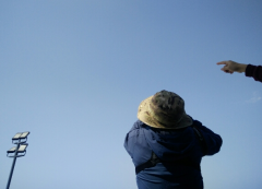 重庆迎来观猛禽迁徙好时机 南山上专家教你识猛禽