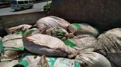 市民报警沙滨路天然气泄漏