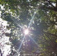 重庆未来三天将至28℃ 迎艳阳开启升温模式