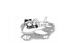 为给儿子上重庆户口 夫妻从美国打飞的回来