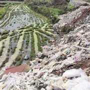 建筑垃圾倒农田 给了钱这就可以吗？