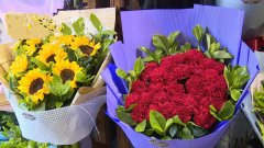 重庆鲜花价格普遍抬头  康乃馨价格今日上涨近3倍