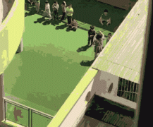 打巴掌拉扯摔地 重庆江津一幼儿园教师暴打学生受谴责