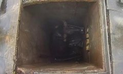  重庆一耕牛掉进3米深井 起吊机2小时吊起来