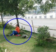 重庆一环卫工靠树午休瞬间被拍下 市民：谢谢你们，辛苦了