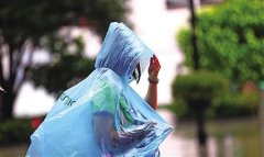 重庆四季随机播放 后天34℃