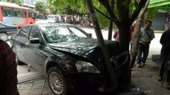 重庆一女司机领证5天上路 误把油门当刹车撞断树