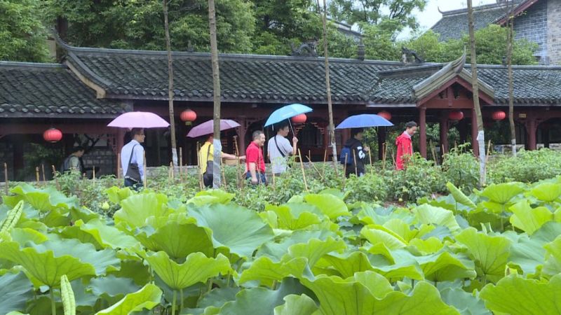 微信图片_20170616100643