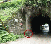 重庆一男孩骑车滑长坡 刹车失灵撞伤身亡